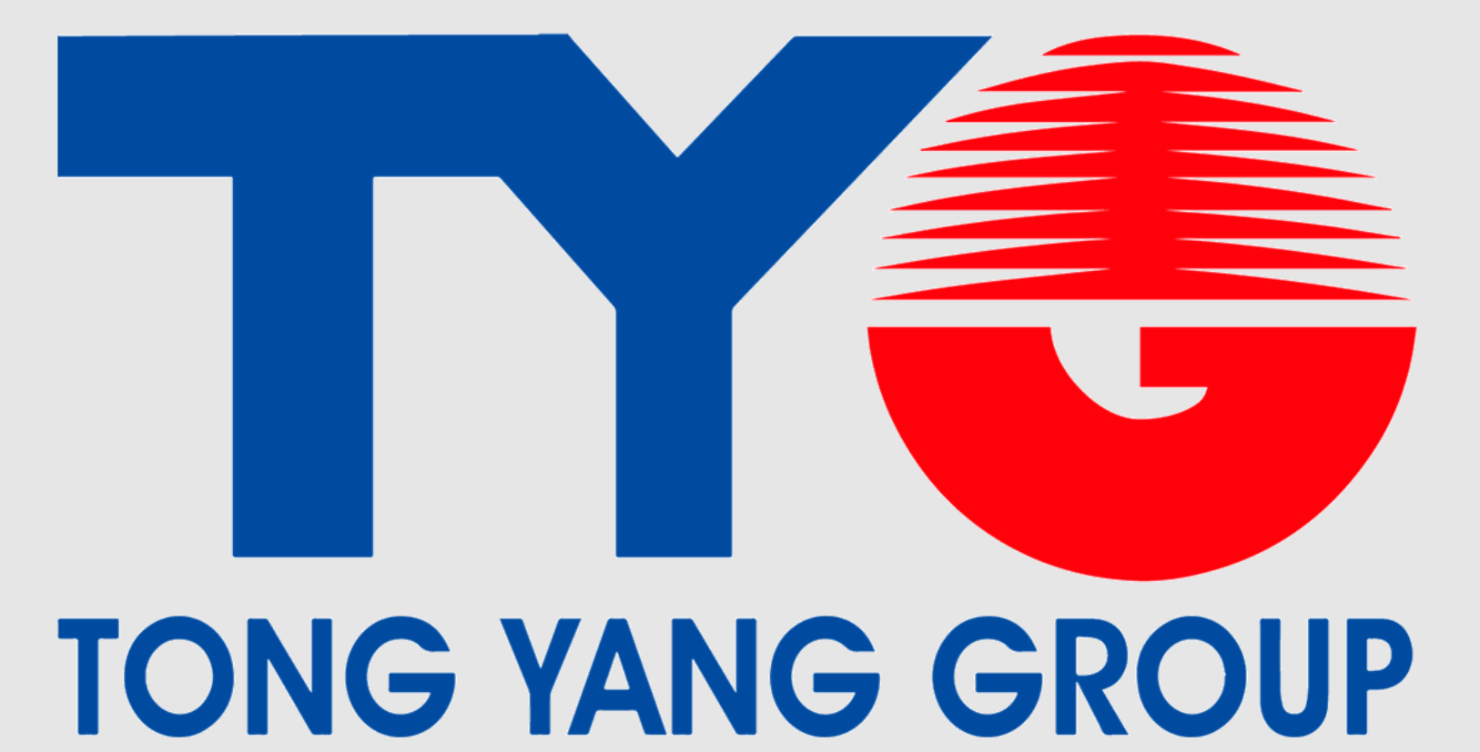 TONG YANG GROUP